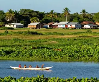 Explorando as Melhores Agências de Turismo no Marajó