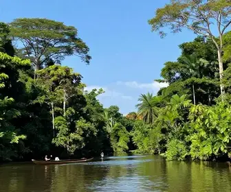 Explorando o Canal do Jari: Natureza e Cultura do Pará