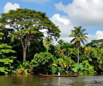 Explorando o Encanto do Rio Araguaia no Pará Explorando o Encanto do Rio Araguaia no Pará