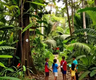 Explorando o Pará com Crianças: Um Guia de Atrações e Diversão Explorando o Pará com Crianças: Um Guia de Atrações e Diversão