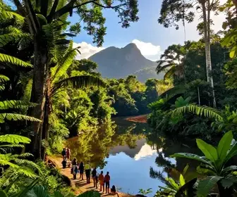 Explorando o Pará: O Guia Completo de Viagem