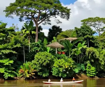 Explorando o Pará: Um Roteiro de 14 Dias Imperdível