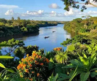 Explorando o Rio Tocantins: Natureza e Belezas do Pará