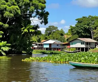 Explorando os Encantos dos Igarapés do Pará: Natureza e Cultura