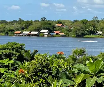 Ilha do Marajó: Tudo Que Você Precisa Saber Para Sua Viagem