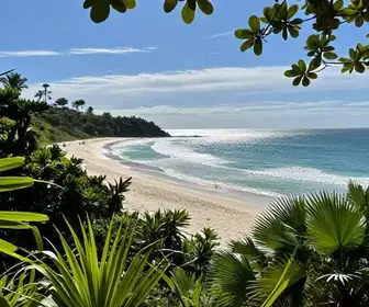 Melhor Época para Visitar Alter do Chão: Dicas e Informações