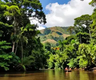 Monte Alegre no Pará: Descubra o Paraíso dos Ecoturistas
