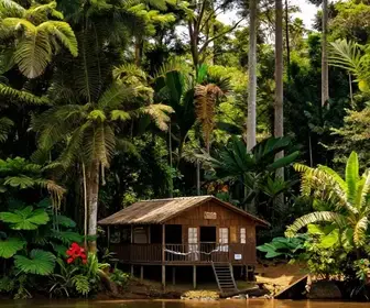 Onde Ficar: Pousadas Próximas à Flona do Tapajós