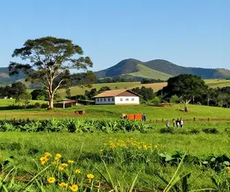 Os 21 melhores destinos de turismo rural no Pará
