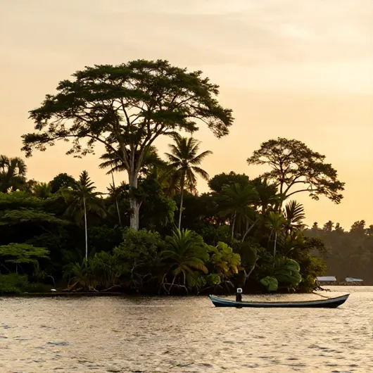 Passeios Ilha do Combu