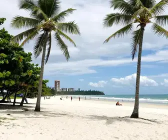 Praia de Ajuruteua: O Paraíso Oculto no Pará