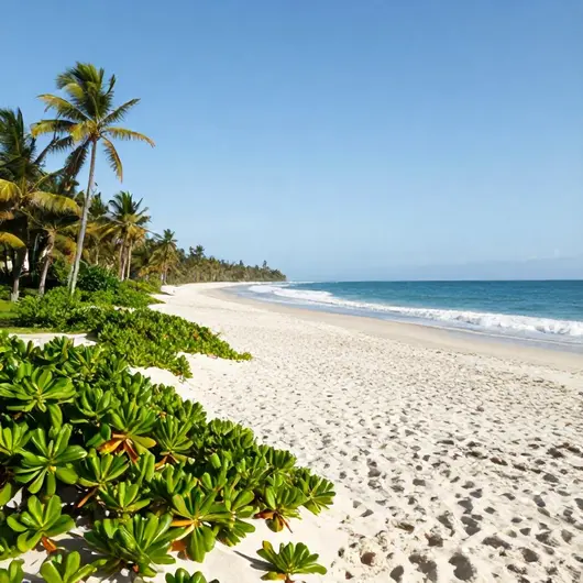 Praia do Sossego: Um Refúgio de Tranquilidade Praia do Sossego: Um Refúgio de Tranquilidade