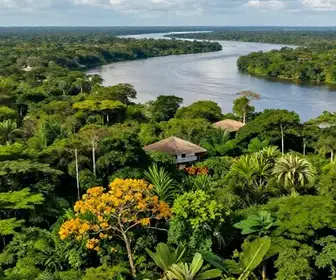 Quando Visitar o Pará: Descubra a Melhor Época para sua Viagem