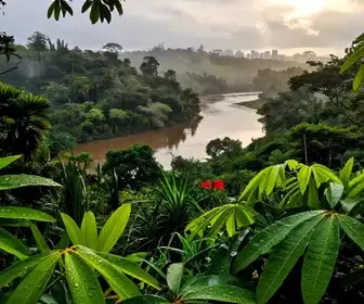 Quando Visitar o Pará: Entenda a Época de Chuvas