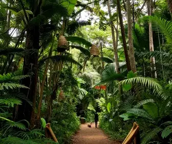 Turismo Consciente na Amazônia: Práticas e Dicas